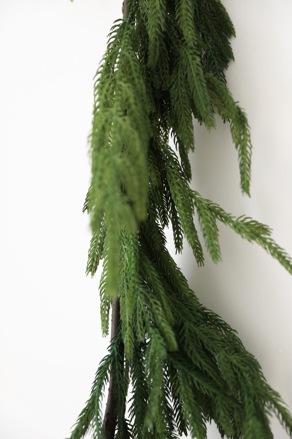 Natural Touch Norfolk Pine Garland