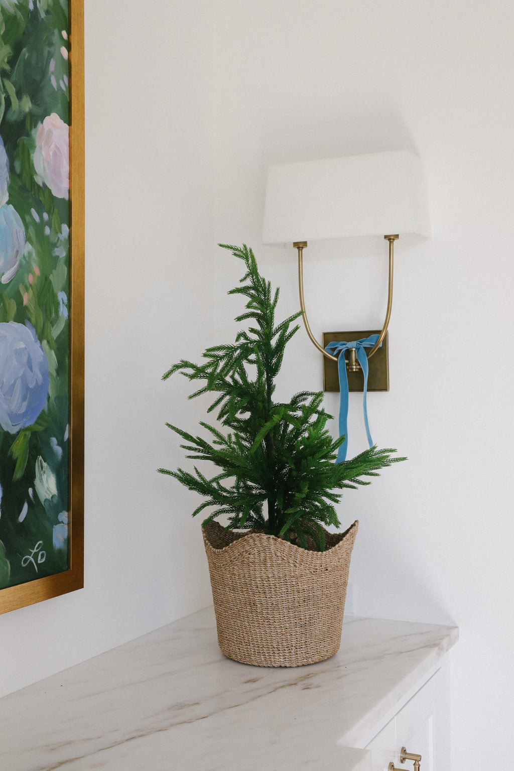 Williamsburg Blue Swiss Velvet Ribbon with 28" Potted Norfolk Pine Tree