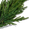 Natural Touch Norfolk Pine Stem